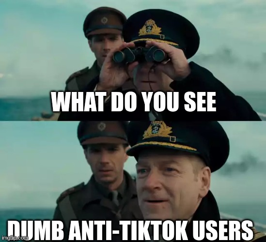 What do you see? | WHAT DO YOU SEE DUMB ANTI-TIKTOK USERS | image tagged in what do you see | made w/ Imgflip meme maker