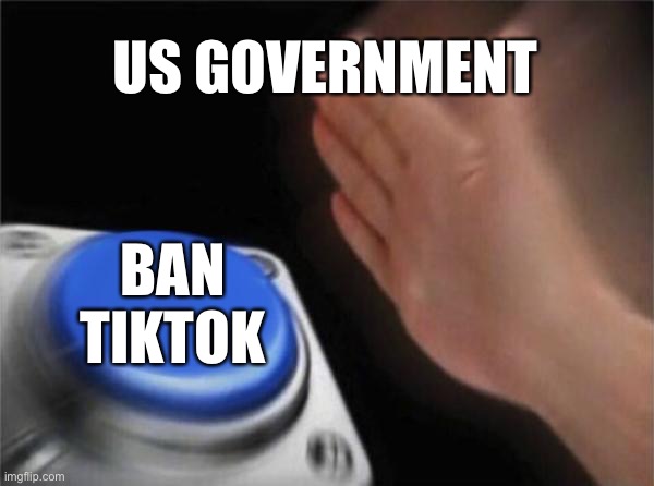 Blank Nut Button Meme | US GOVERNMENT; BAN TIKTOK | image tagged in memes,blank nut button,tiktok,usa,banned,internet | made w/ Imgflip meme maker