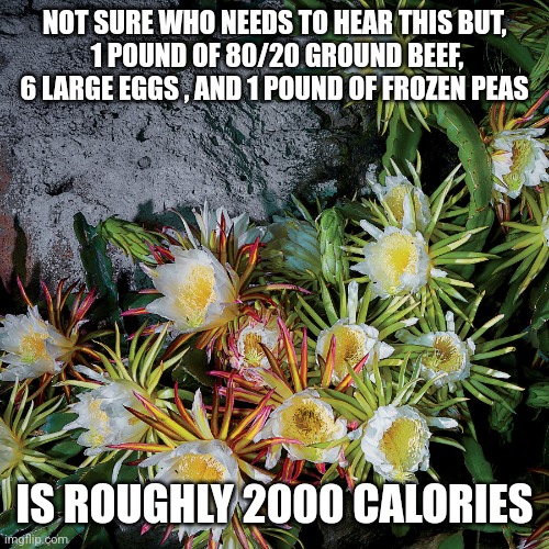 NOT SURE WHO NEEDS TO HEAR THIS BUT,
 1 POUND OF 80/20 GROUND BEEF, 6 LARGE EGGS , AND 1 POUND OF FROZEN PEAS; IS ROUGHLY 2000 CALORIES | image tagged in funny memes | made w/ Imgflip meme maker