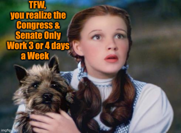 Part Time Job | TFW, 
you realize the Congress & Senate Only Work 3 or 4 days a Week | image tagged in toto wizard of oz,funny memes,funny,political meme,politics | made w/ Imgflip meme maker