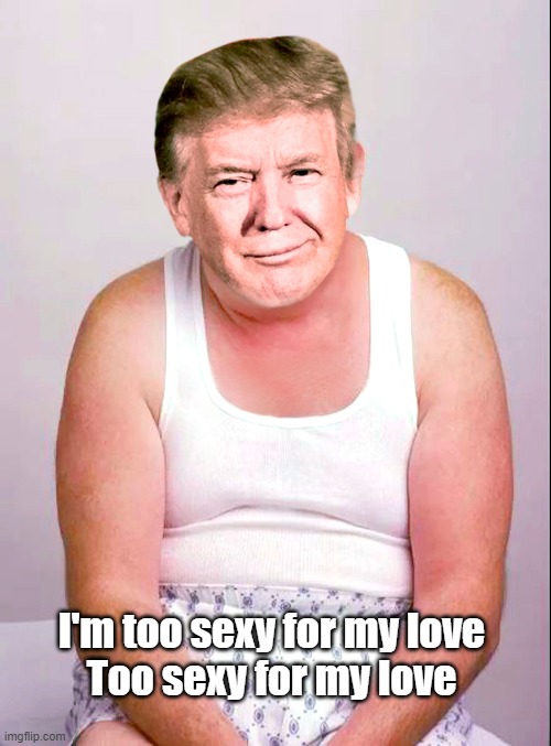 "The intention was pretty clear" Stormy Daniels testifies about seeing Trump in his underwear and posing for her! | I'm too sexy for my love
Too sexy for my love | image tagged in donald trump,underwear,stormy daniels,sexy | made w/ Imgflip meme maker