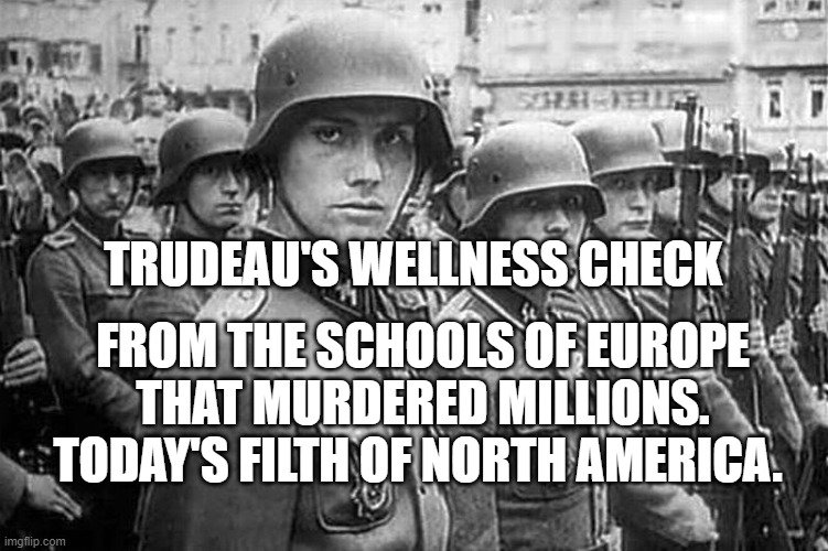 Grammar Nazi rank & file | FROM THE SCHOOLS OF EUROPE THAT MURDERED MILLIONS. TODAY'S FILTH OF NORTH AMERICA. TRUDEAU'S WELLNESS CHECK | image tagged in grammar nazi rank file | made w/ Imgflip meme maker