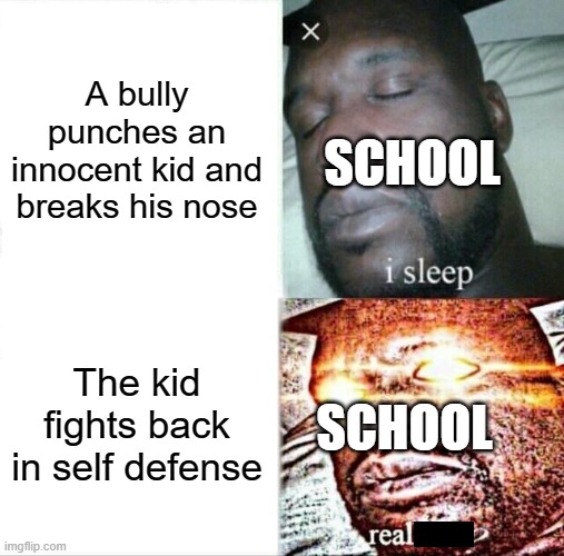 Schools be like | A bully punches an innocent kid and breaks his nose; SCHOOL; The kid fights back in self defense; SCHOOL | image tagged in memes,sleeping shaq | made w/ Imgflip meme maker