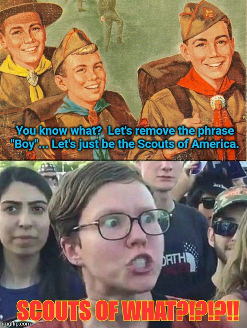 You know what?  Let's remove the phrase "Boy"... Let's just be the Scouts of America. SCOUTS OF WHAT?!?!?!! | image tagged in boy scouts,triggered liberal | made w/ Imgflip meme maker