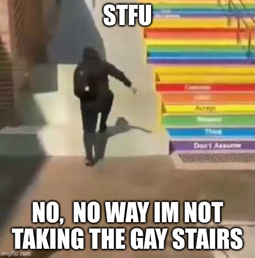 Gay stairs | STFU; NO,  NO WAY IM NOT TAKING THE GAY STAIRS | image tagged in gay stairs | made w/ Imgflip meme maker