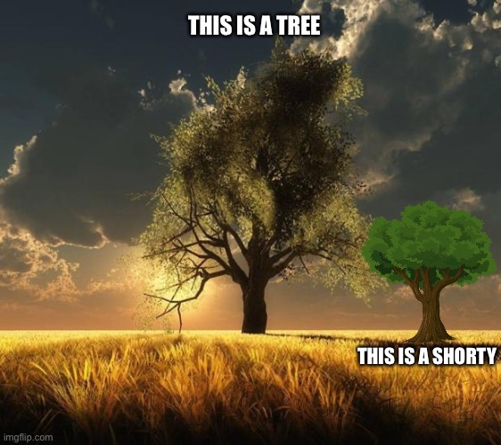 Tree of Life | THIS IS A TREE; THIS IS A SHORTY | image tagged in tree of life,roflmao,hilarious | made w/ Imgflip meme maker