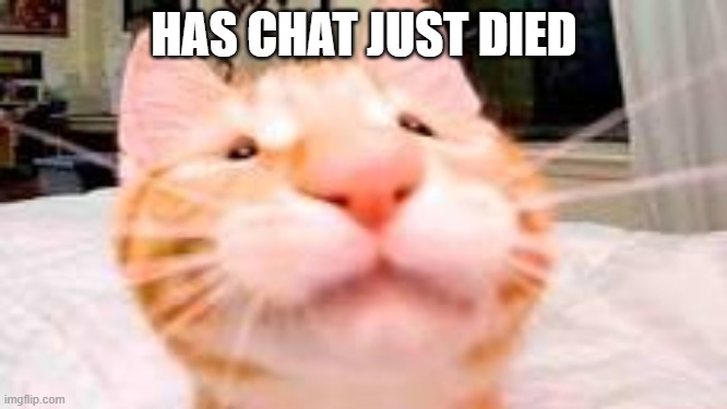 graveyard | HAS CHAT JUST DIED | made w/ Imgflip meme maker