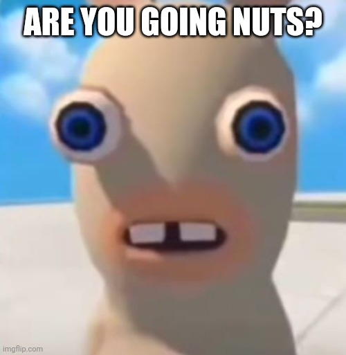 Idiot Rabbid | ARE YOU GOING NUTS? | image tagged in idiot rabbid | made w/ Imgflip meme maker