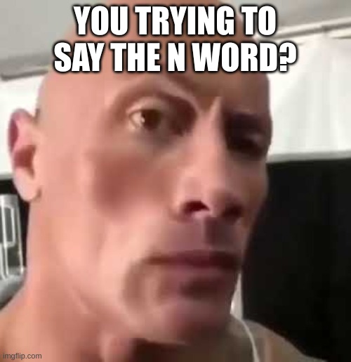 The Rock Eyebrows | YOU TRYING TO SAY THE N WORD? | image tagged in the rock eyebrows | made w/ Imgflip meme maker