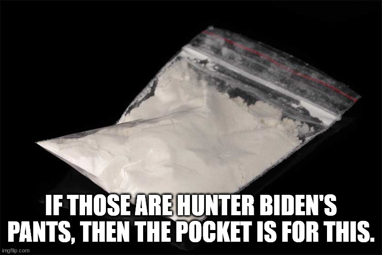 IF THOSE ARE HUNTER BIDEN'S PANTS, THEN THE POCKET IS FOR THIS. | made w/ Imgflip meme maker