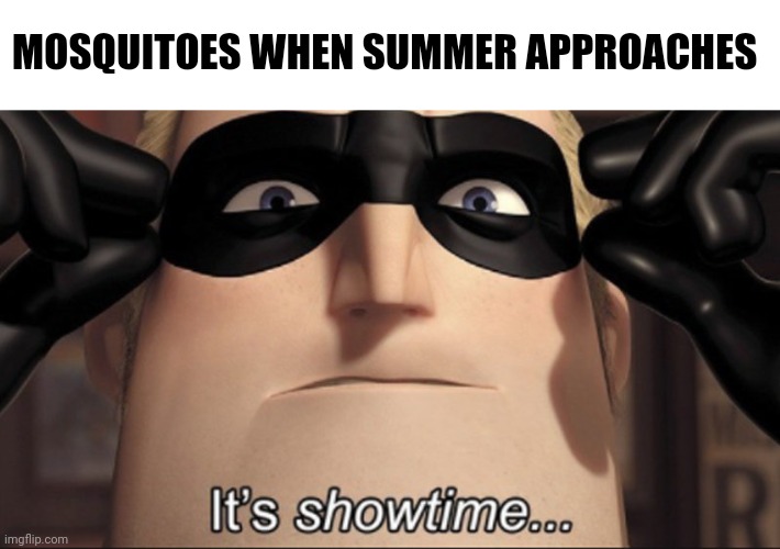 It's that time of the year | MOSQUITOES WHEN SUMMER APPROACHES | image tagged in it's showtime,memes,funny,summer,mosquitoes | made w/ Imgflip meme maker