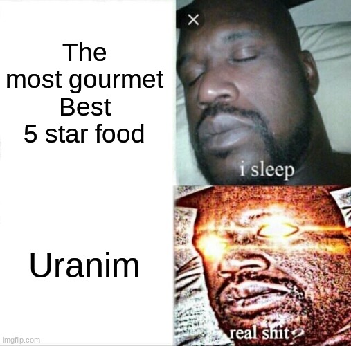 Sleeping Shaq Meme | The most gourmet Best 5 star food Uranim | image tagged in memes,sleeping shaq | made w/ Imgflip meme maker