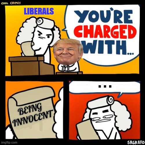 Dem-rats realizing Trump's innocent. | LIBERALS; . . . BEING INNOCENT | image tagged in your charged with,innocent,donald trump,trump,false crimes | made w/ Imgflip meme maker