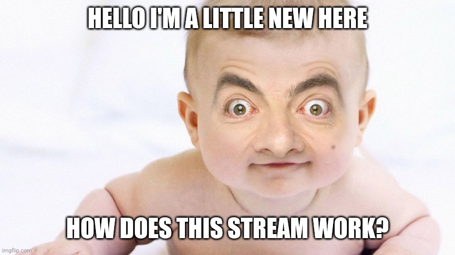 Can someone explain | HELLO I'M A LITTLE NEW HERE; HOW DOES THIS STREAM WORK? | image tagged in sussy bean | made w/ Imgflip meme maker