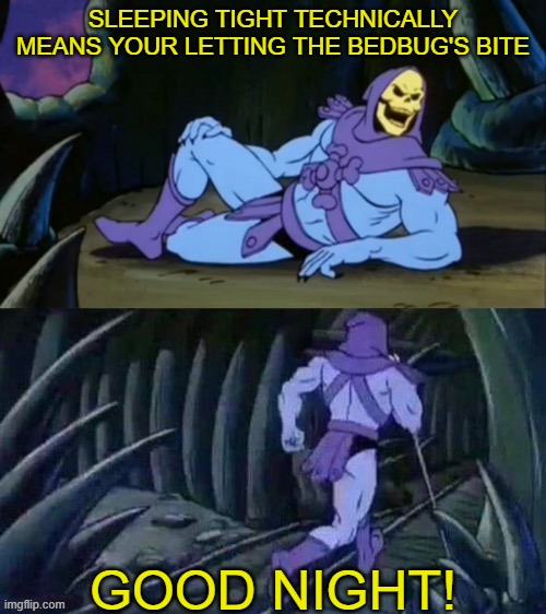 Skeletor's latest disturbing fact | SLEEPING TIGHT TECHNICALLY MEANS YOUR LETTING THE BEDBUG'S BITE; GOOD NIGHT! | image tagged in skeletor disturbing facts,disturbing facts skeletor,bedbugs,good night | made w/ Imgflip meme maker