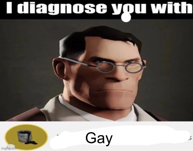 I diagnose you with A Distinctive Lack of Hoes | Gay | image tagged in i diagnose you with a distinctive lack of hoes | made w/ Imgflip meme maker