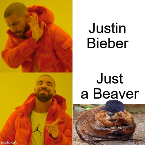 Drake Hotline Bling | Justin Bieber; Just a Beaver | image tagged in memes,drake hotline bling,justin bieber,funny | made w/ Imgflip meme maker