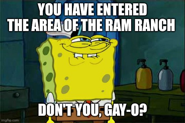 The ram ranch | YOU HAVE ENTERED THE AREA OF THE RAM RANCH; DON'T YOU, GAY-O? | image tagged in memes,don't you squidward,ram ranch,cowboy | made w/ Imgflip meme maker