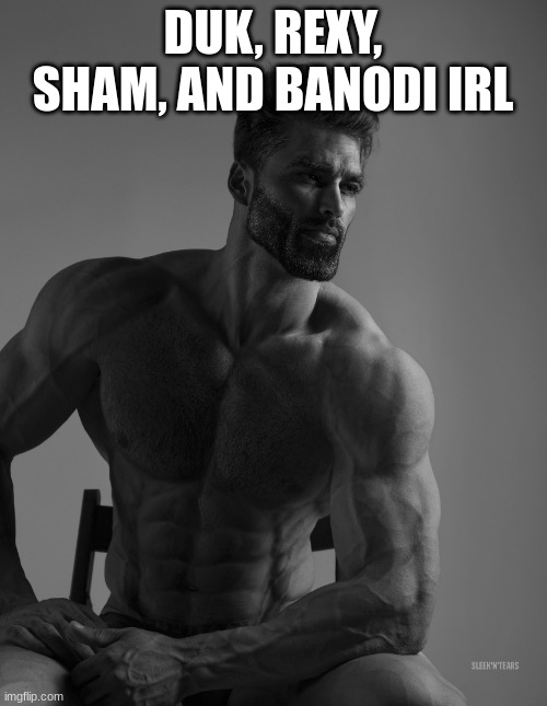 Giga Chad | DUK, REXY, SHAM, AND BANODI IRL | image tagged in giga chad | made w/ Imgflip meme maker