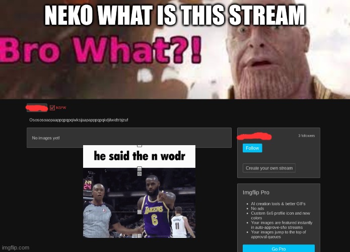 BRO WHAT (FIXED) | NEKO WHAT IS THIS STREAM | image tagged in thanos - bro what | made w/ Imgflip meme maker