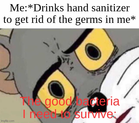 It's also not good to drink hand sanitizer. Or, like something like that | Me:*Drinks hand sanitizer to get rid of the germs in me*; The good bacteria I need to survive: | image tagged in tom cat unsettled close up,anatomy,s c i e n s | made w/ Imgflip meme maker