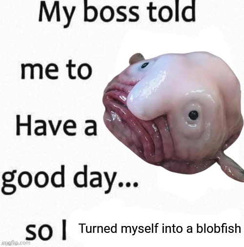 so i | Turned myself into a blobfish | image tagged in so i | made w/ Imgflip meme maker
