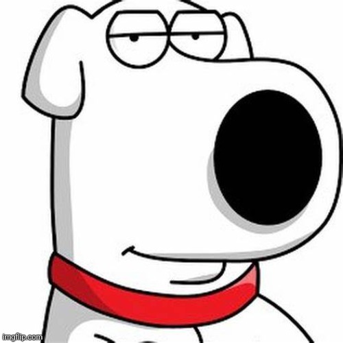 Brian Griffin Smug | image tagged in brian griffin smug | made w/ Imgflip meme maker