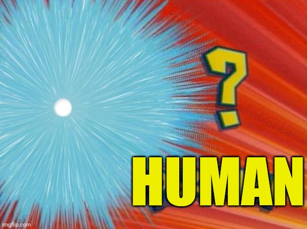 who is that pokemon | HUMAN | image tagged in who is that pokemon | made w/ Imgflip meme maker
