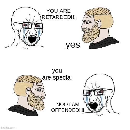 tis a slur | YOU ARE RETARDED!!! yes; you are special; NOO I AM OFFENDED!!!! | image tagged in memes | made w/ Imgflip meme maker