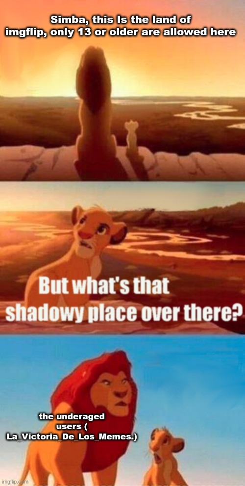 Simba Shadowy Place | Simba, this Is the land of imgflip, only 13 or older are allowed here; the underaged users ( La_Victoria_De_Los_Memes.) | image tagged in memes,simba shadowy place | made w/ Imgflip meme maker