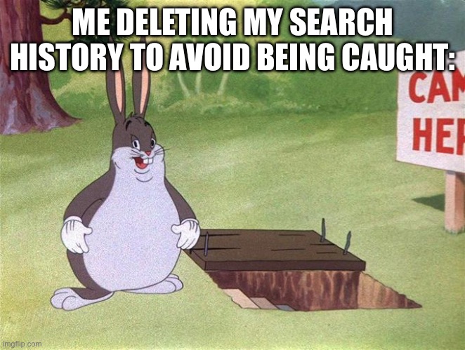 Me deleting my search history: | ME DELETING MY SEARCH HISTORY TO AVOID BEING CAUGHT: | image tagged in big chungus | made w/ Imgflip meme maker