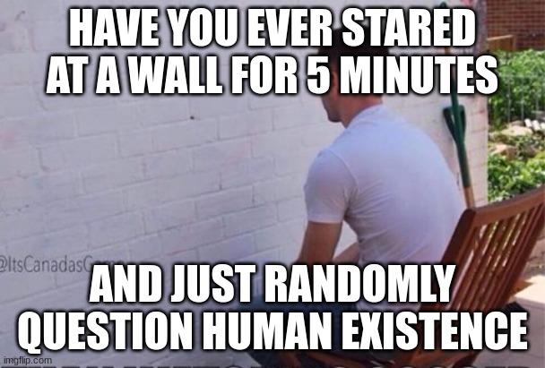 Is it just me?? | HAVE YOU EVER STARED AT A WALL FOR 5 MINUTES; AND JUST RANDOMLY QUESTION HUMAN EXISTENCE | image tagged in staring at wall,deep thoughts,funny,memes,fun,extistenial crisis | made w/ Imgflip meme maker