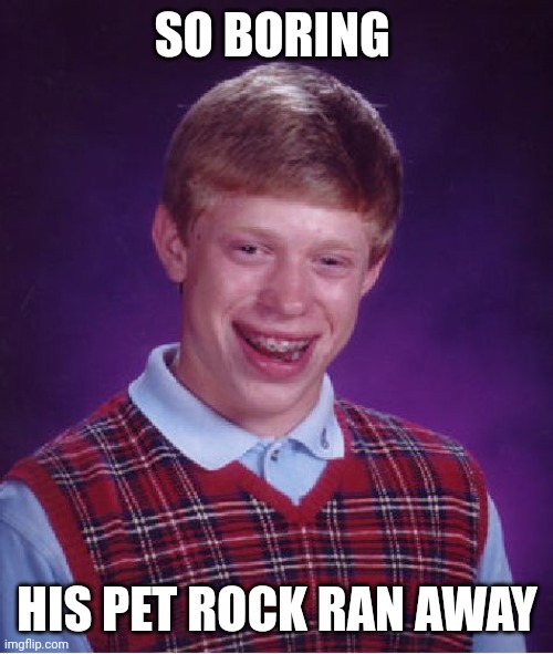 Bad Luck Brian Meme | SO BORING HIS PET ROCK RAN AWAY | image tagged in memes,bad luck brian | made w/ Imgflip meme maker