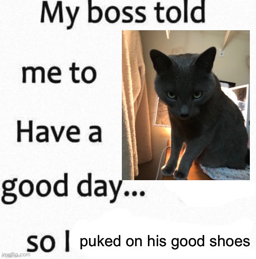 so i | puked on his good shoes | image tagged in so i | made w/ Imgflip meme maker