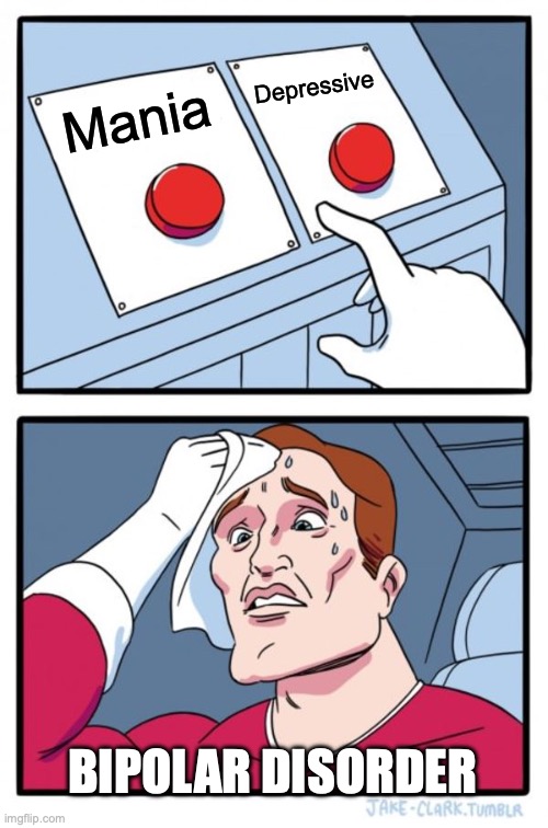 Two Buttons | Depressive; Mania; BIPOLAR DISORDER | image tagged in memes,two buttons | made w/ Imgflip meme maker