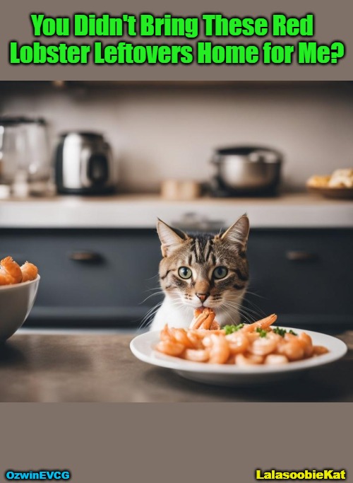 [@LalasoobieKat / EVCG] | You Didn't Bring These Red  

Lobster Leftovers Home for Me? OzwinEVCG; LalasoobieKat | image tagged in cats,food,funny,thief,memes,life with pets | made w/ Imgflip meme maker