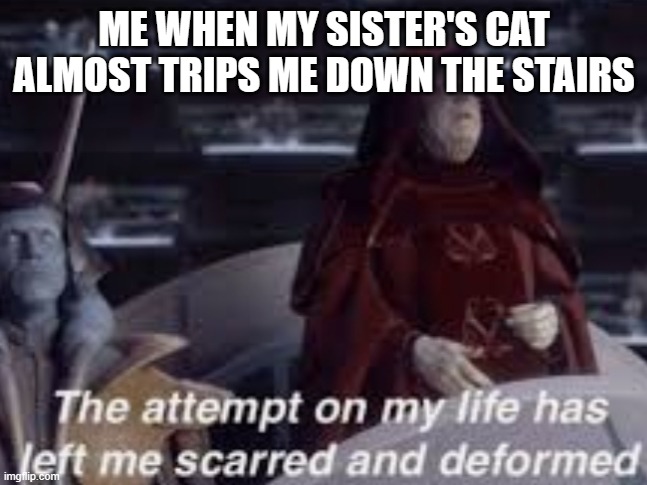 The attempt on my life has left me scarred and deformed | ME WHEN MY SISTER'S CAT ALMOST TRIPS ME DOWN THE STAIRS | image tagged in the attempt on my life has left me scarred and deformed | made w/ Imgflip meme maker