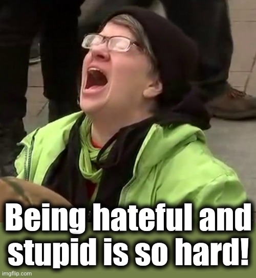 Crying liberal | Being hateful and
stupid is so hard! | image tagged in crying liberal | made w/ Imgflip meme maker