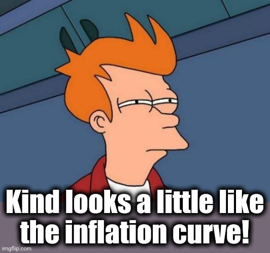 Futurama Fry Meme | Kind looks a little like
the inflation curve! | image tagged in memes,futurama fry | made w/ Imgflip meme maker