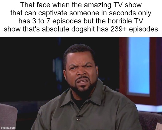 Really? Ice Cube | That face when the amazing TV show that can captivate someone in seconds only has 3 to 7 episodes but the horrible TV show that's absolute dogshit has 239+ episodes | image tagged in really ice cube | made w/ Imgflip meme maker
