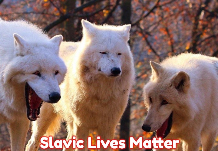 2/3 wolves laugh | Slavic Lives Matter | image tagged in 2/3 wolves laugh,slavic | made w/ Imgflip meme maker