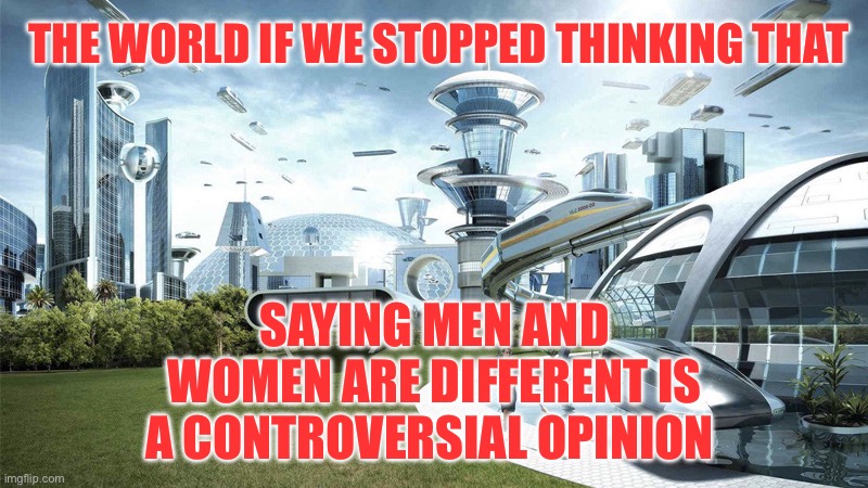 Men and women | THE WORLD IF WE STOPPED THINKING THAT; SAYING MEN AND WOMEN ARE DIFFERENT IS A CONTROVERSIAL OPINION | image tagged in the future world if | made w/ Imgflip meme maker