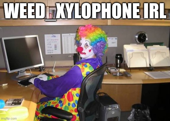 clown computer | WEED_XYLOPHONE IRL | image tagged in clown computer | made w/ Imgflip meme maker
