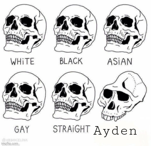 retarded caveman skulls | Ayden | image tagged in retarded caveman skulls | made w/ Imgflip meme maker