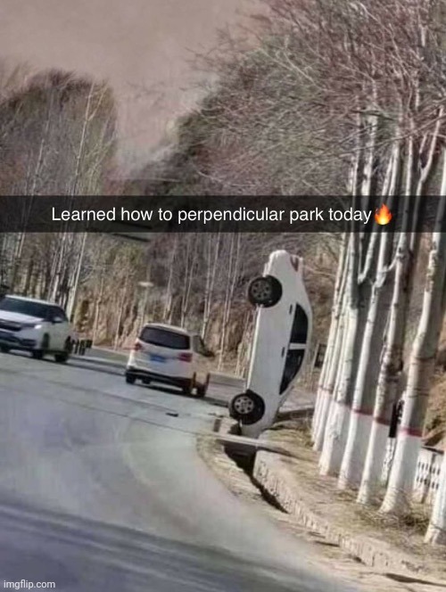 Perpendicular parking | image tagged in perpendicular parking,parking,perpendicular,reposts,repost,memes | made w/ Imgflip meme maker