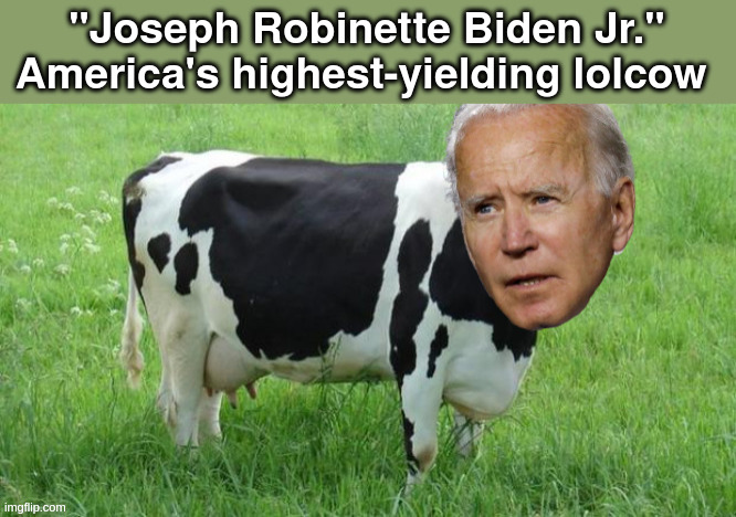 dairy queen | "Joseph Robinette Biden Jr." America's highest-yielding lolcow | made w/ Imgflip meme maker