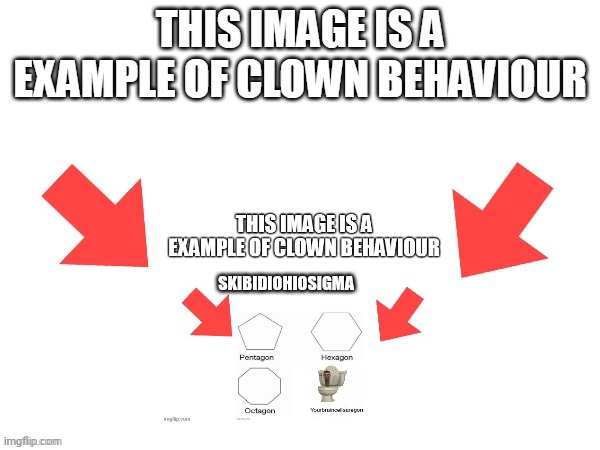 SKIBIDIOHIOSIGMA | image tagged in this image is a example of clown behaviour | made w/ Imgflip meme maker