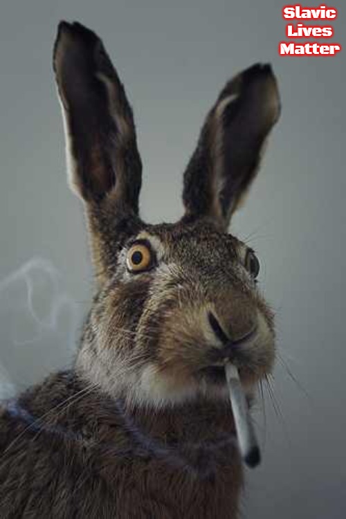 Rabbit smoking  | Slavic Lives Matter | image tagged in rabbit smoking,slavic | made w/ Imgflip meme maker