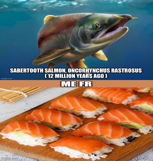 image tagged in shitpost,memes,lol,sushi,humor,funny memes | made w/ Imgflip meme maker