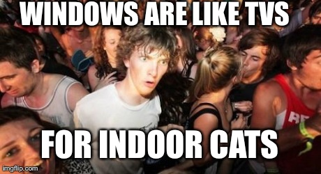 Sudden Clarity Clarence | WINDOWS ARE LIKE TVS FOR INDOOR CATS | image tagged in memes,sudden clarity clarence,AdviceAnimals | made w/ Imgflip meme maker